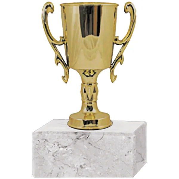 Trofeo Plástico Copa Chica  2