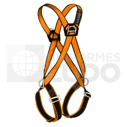 ARNÉS 4 ARGOLLAS ESTÁNDAR