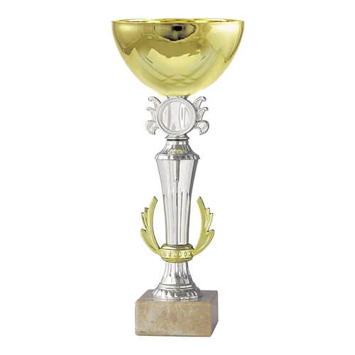 Copa BLAS  7